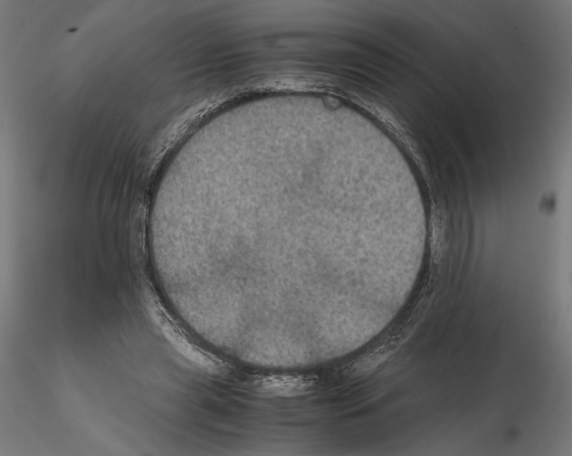 X0000115180445200912091051