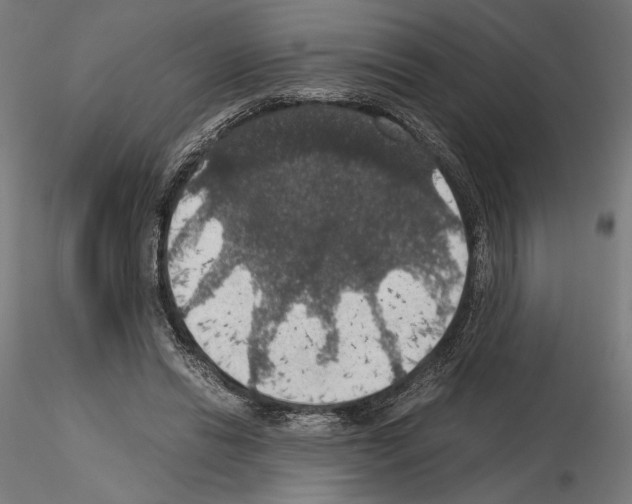 X0000115180446200912091051