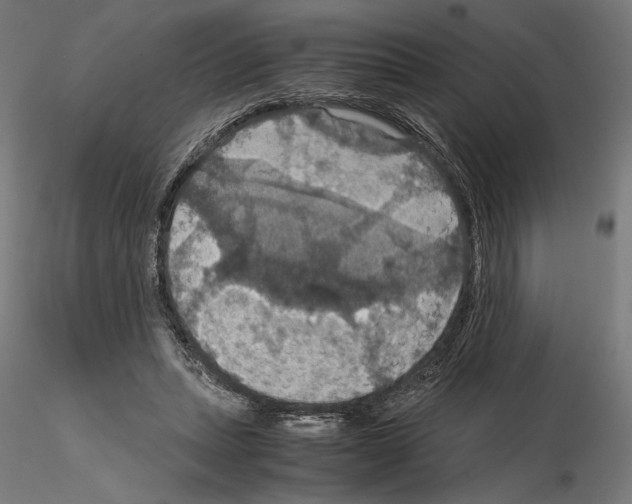 X0000115180447200912091051