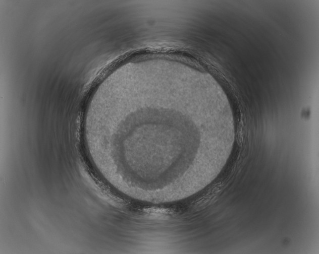 X0000115180448200912091051