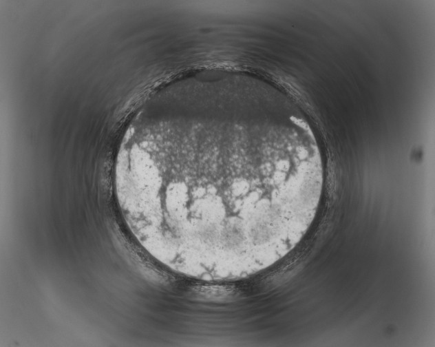 X0000115180449200912091051