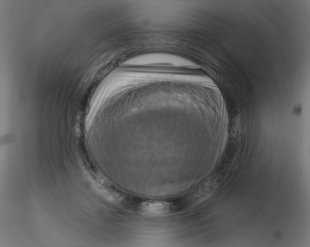 X0000115180452200912091051