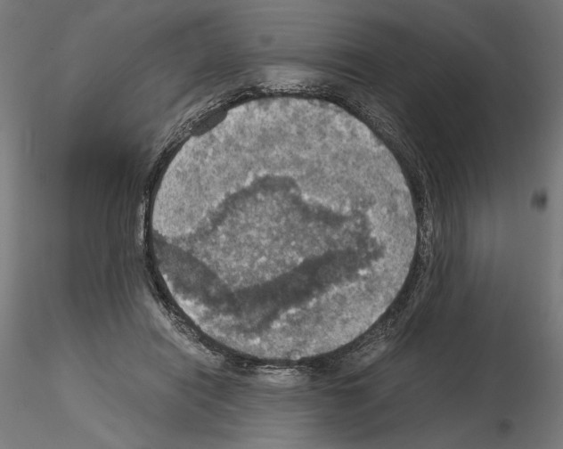 X0000115180454200912091051