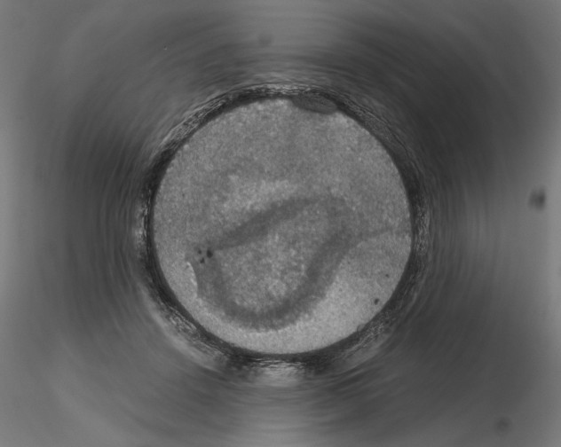 X0000115180456200912091051