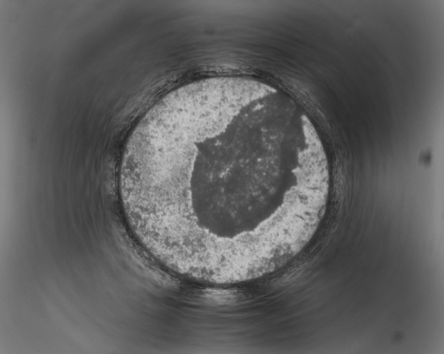 X0000115180457200912091051