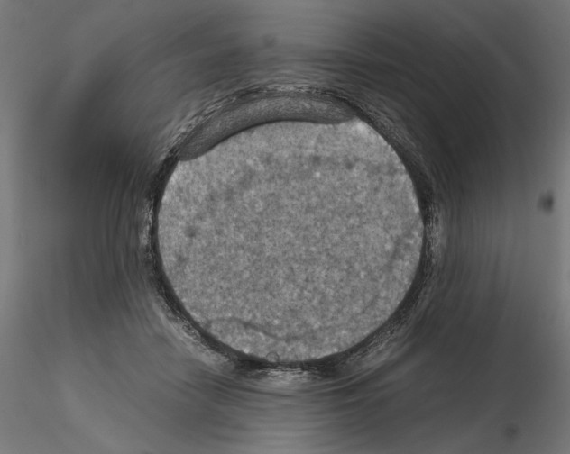 X0000115180458200912091051