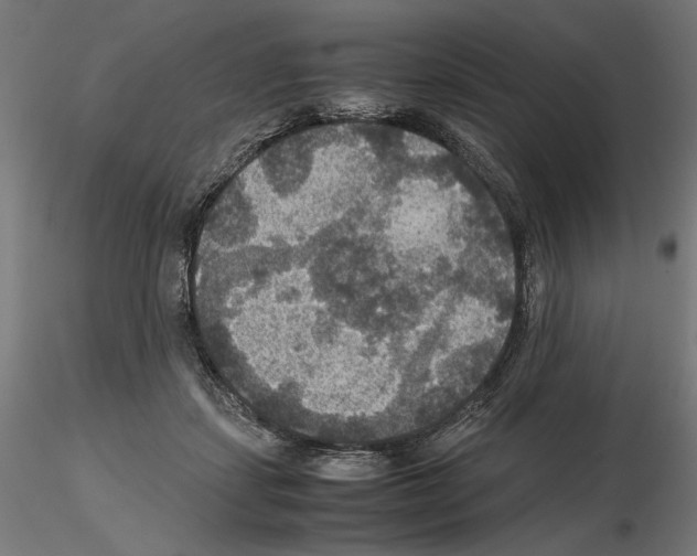 X0000115180459200912091051