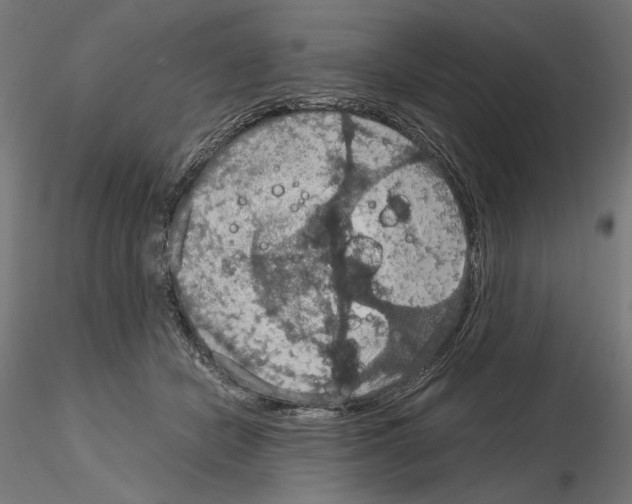 X0000115180462200912091051