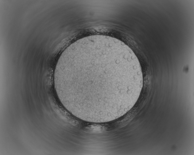 X0000115180464200912091051