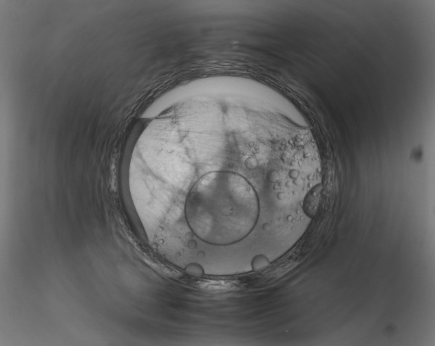 X0000115180465200912091051