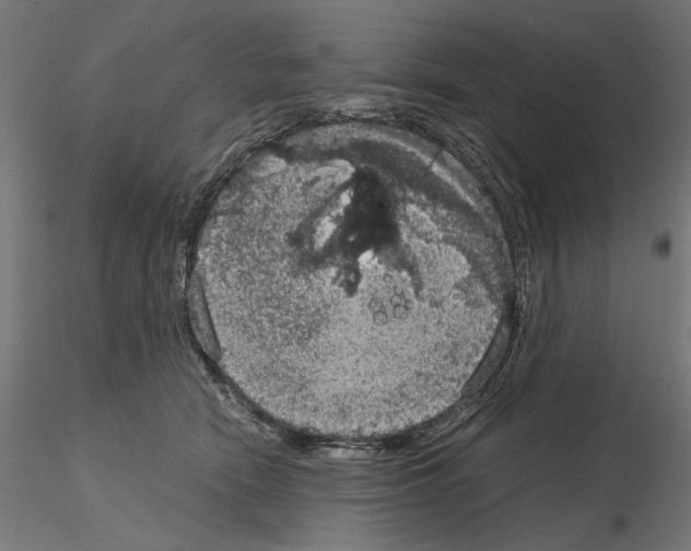 X0000115180466200912091051