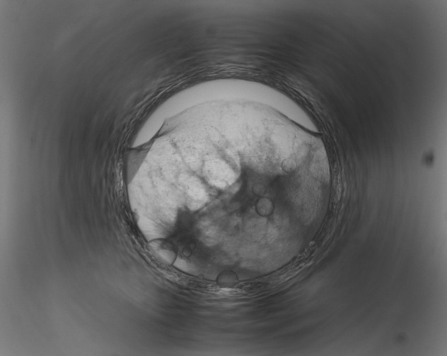 X0000115180467200912091051