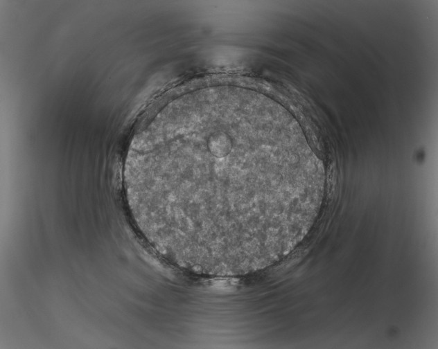 X0000115180474200912091051