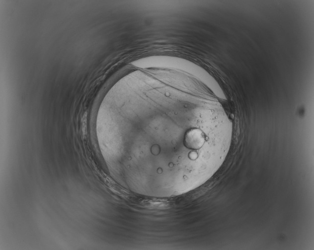 X0000115180475200912091051