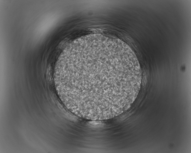 X0000115180477200912091051