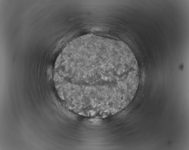 X0000115180478200912091051