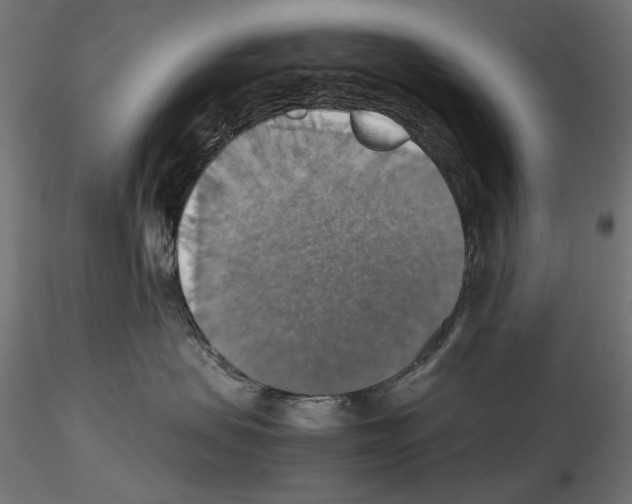 X0000115180479200912091051