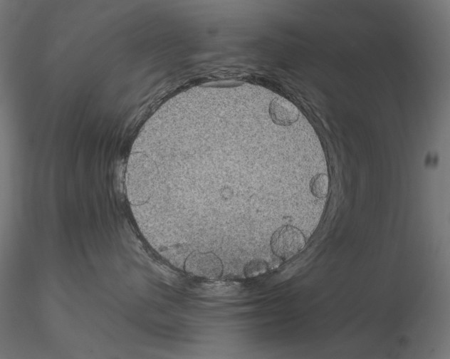 X0000115180480200912091051