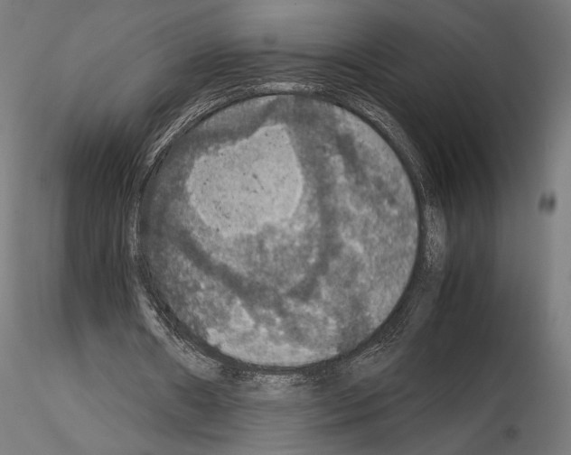 X0000115180482200912091050