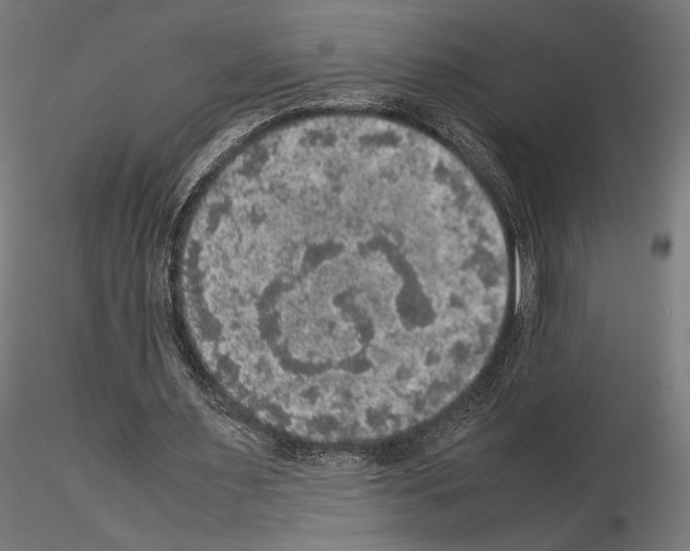 X0000115180483200912091050