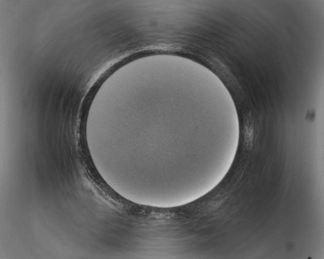 X0000115180484200912091050