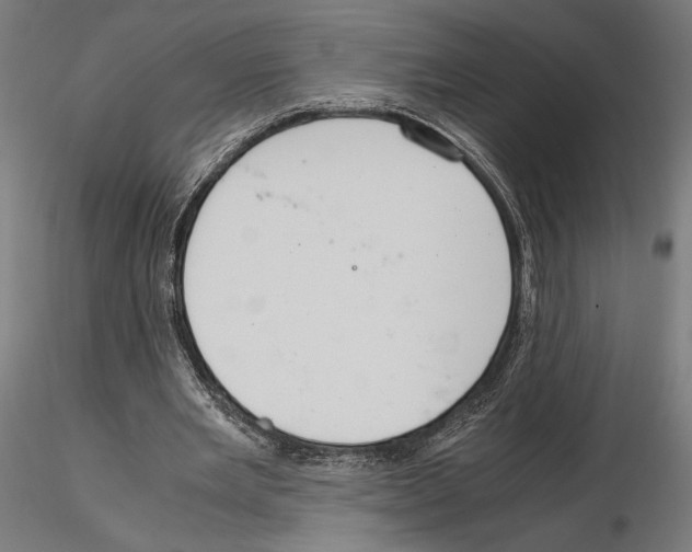 X0000115180485200912091050