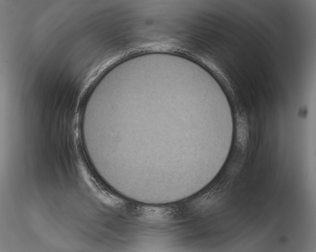 X0000115180486200912091050