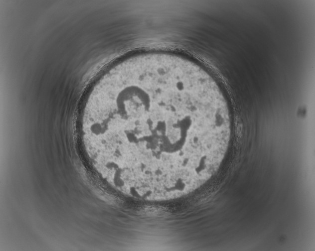 X0000115180487200912091050