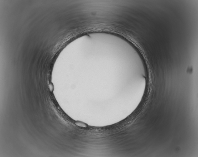 X0000115180489200912091050