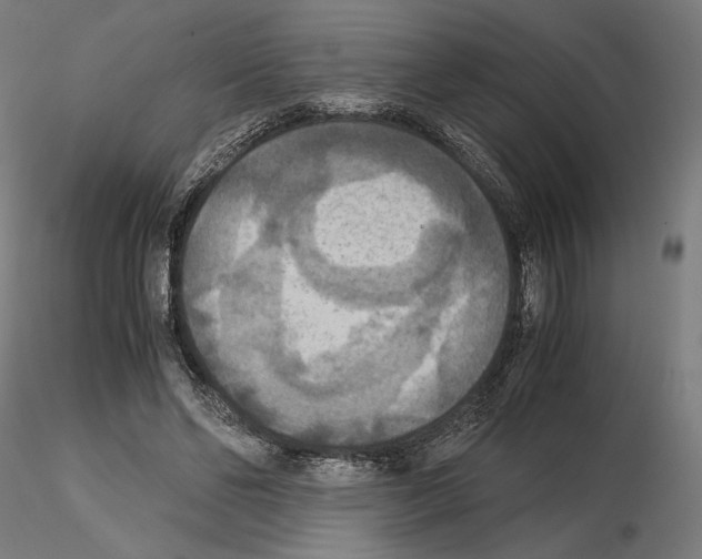 X0000115180494200912091050