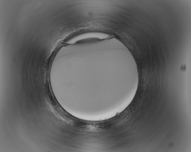 X0000115180496200912091050