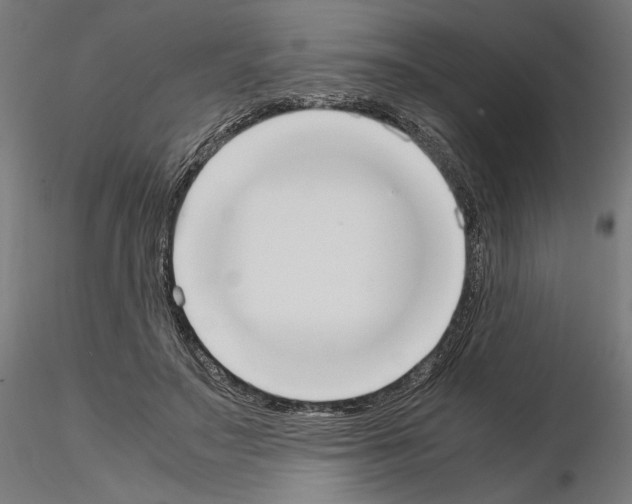 X0000115180499200912091050