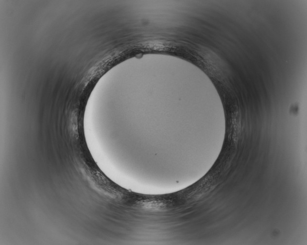 X0000115180500200912091050