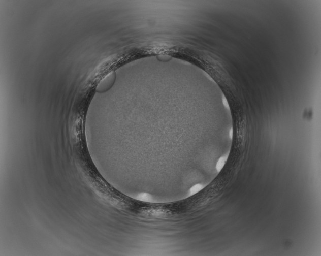 X0000115180503200912091050