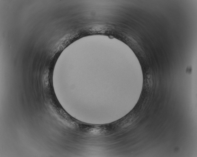 X0000115180504200912091050