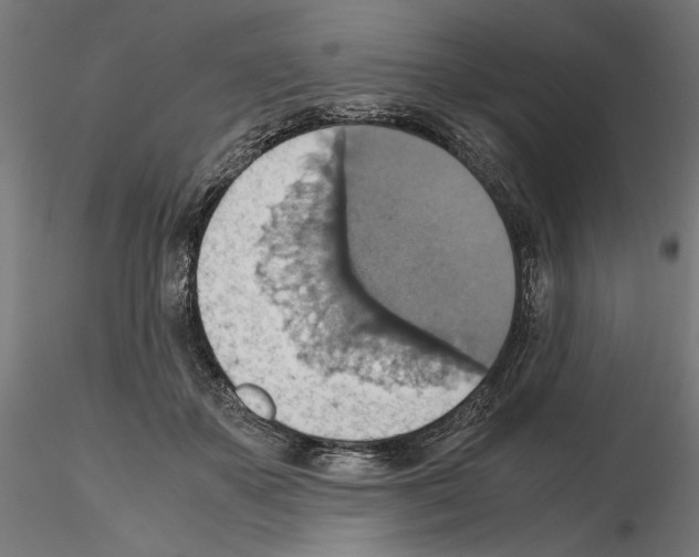 X0000115180507200912091050