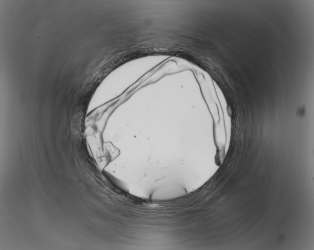 X0000115180509200912091050