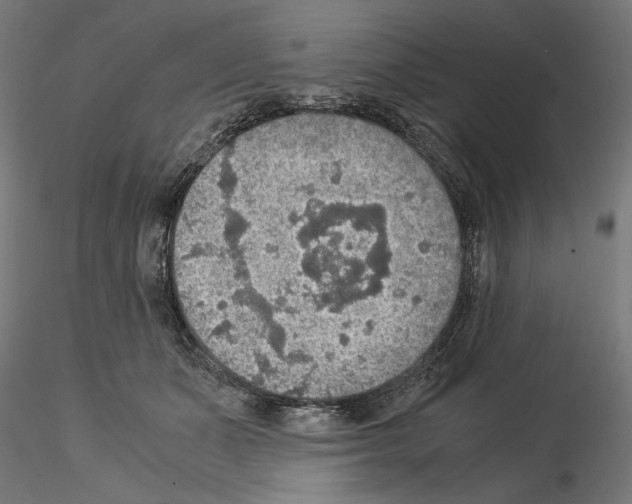 X0000115180511200912091050