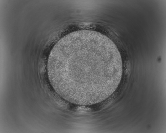 X0000115180515200912091050