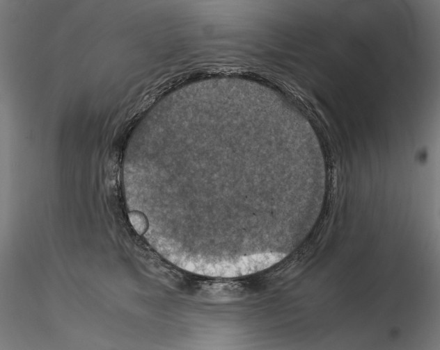 X0000115180517200912091050