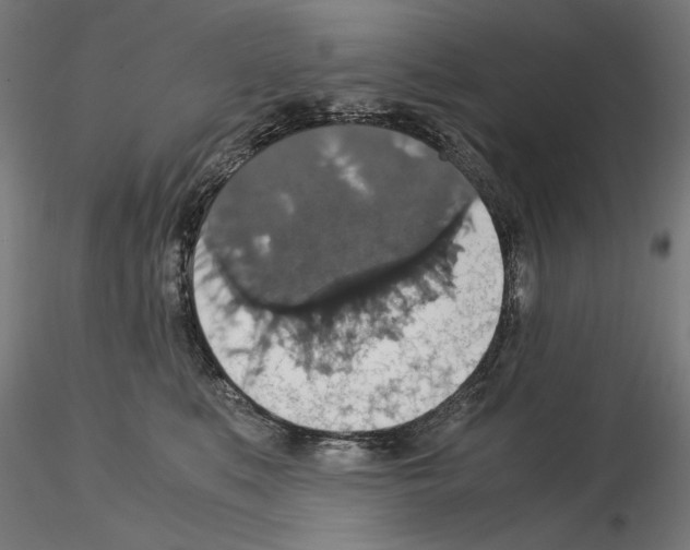 X0000115180519200912091050