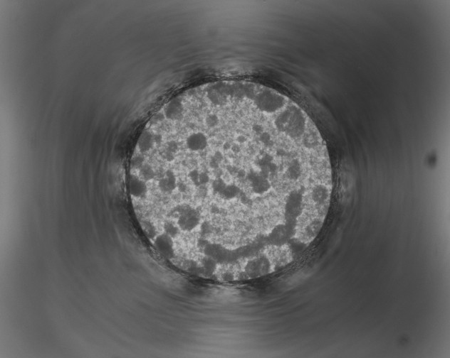 X0000115180523200912091050