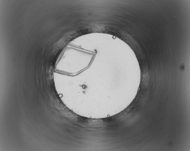 X0000115180525200912091050