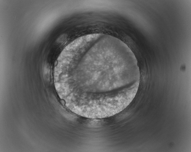 X0000115180527200912091050