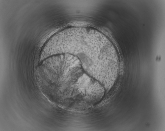 X0000115180529200912091049