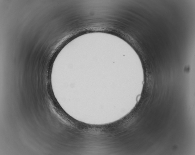 X0000115180530200912091049