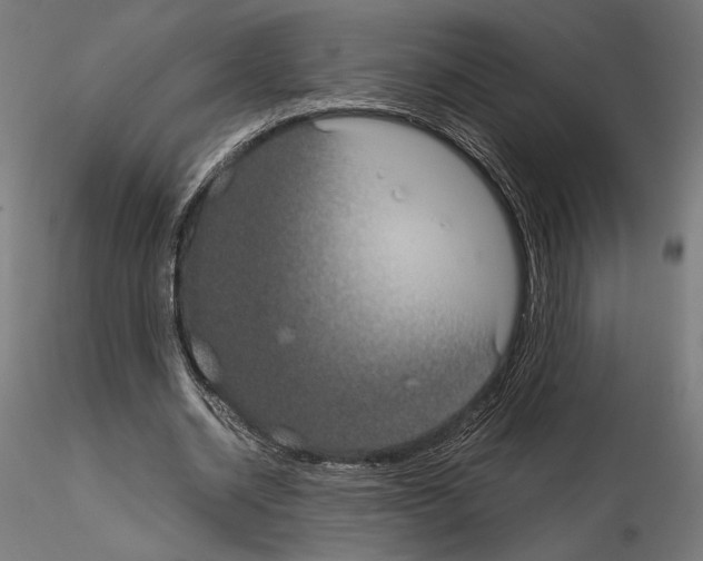 X0000115180534200912091049