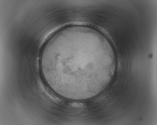 X0000115180535200912091049