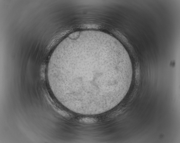 X0000115180537200912091049