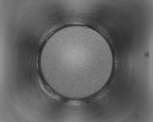 X0000115180538200912091049